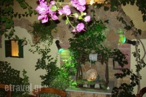 Volkano_food_in_Restaurant___Analipsi