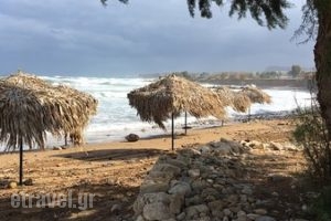 Taverna Eleven_food_in_Restaurant___Arkadi