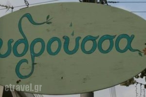 Ydroussa_food_in_Restaurant___Neo Psichiko